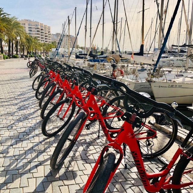 Palma de Mallorca: Guided Bicycle Tour with Tapas & a Drink - Along the seafront: where Palma’s sea views set the tone