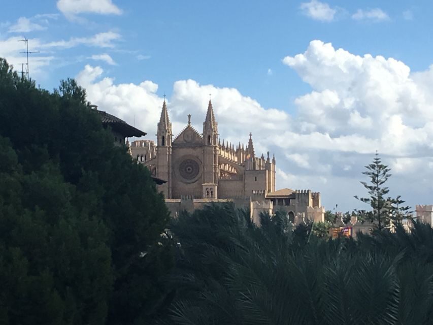 Palma de Mallorca: Guided Tour of the Old Town - Meeting Point, Walking Comfort, and What to Plan for