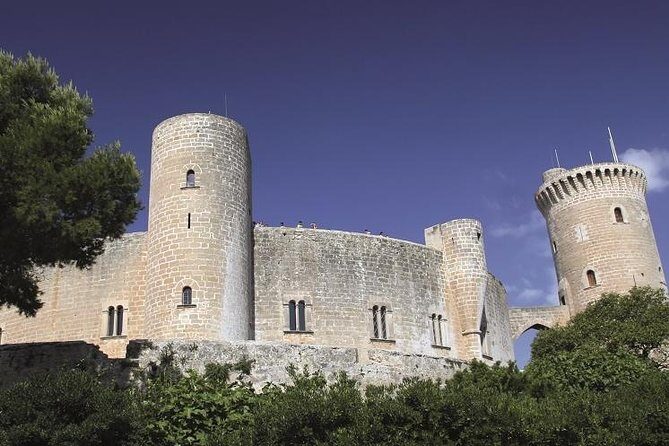 Palma de Mallorca Guided Tour with Hotel Pick up - The guide experience: stories you can actually use