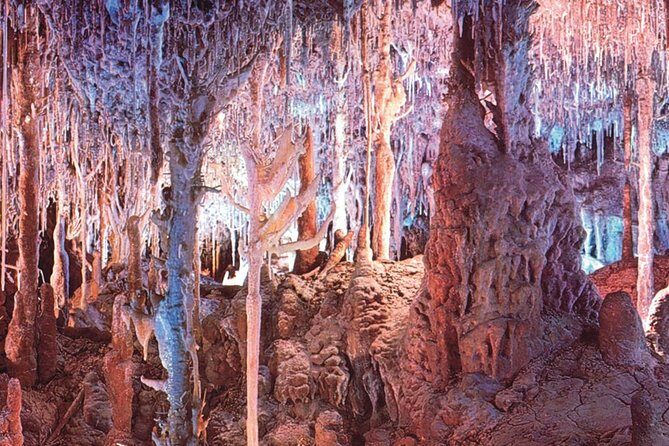 Palma de Mallorca Half-Day to Caves of Hams, Blue Cave and film - Price and value: is about $57 fair?