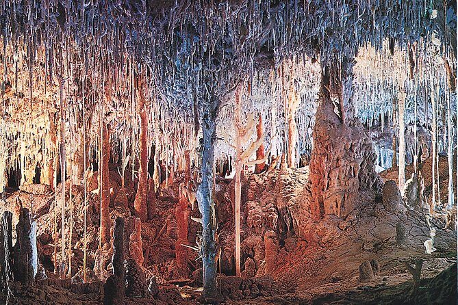 Palma de Mallorca Half-Day to Caves of Hams, Blue Cave and film - Inside the Cuevas del Hams: stalactites, lakes, and laser Mozart