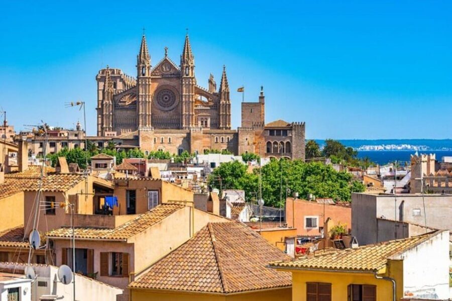 Palma de Mallorca : Must see Walking Tour With A Guide - Why this 2-hour private Palma walk is worth the $39