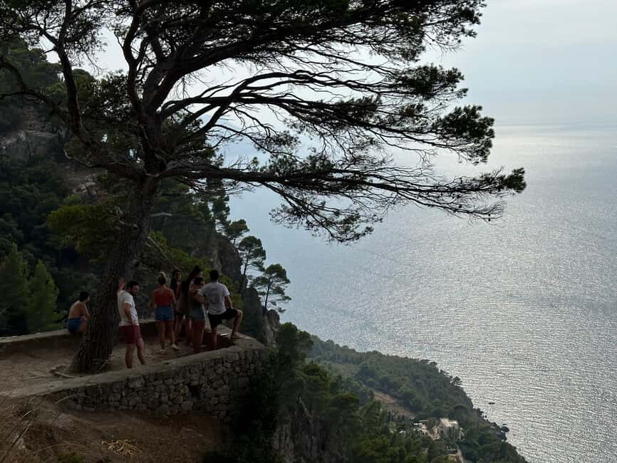 Palma de Mallorca: North Coast Nature Escape Day Tour - What you’re paying for: value at $90 per person