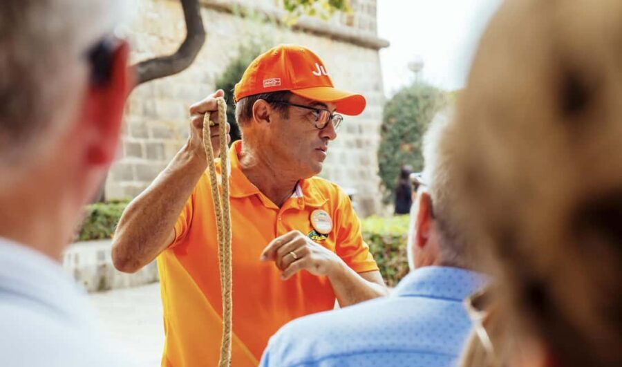 Palma de Mallorca: Old Town and Cathedral Tour - Timing: 11:30 vs 13:30 and why the streets matter