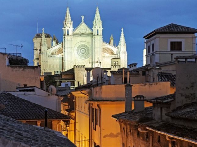 Palma de Mallorca: Old Town Atmospheric Evening Tour - Parc de la Mar and Es Baluard: sea air + viewpoint energy