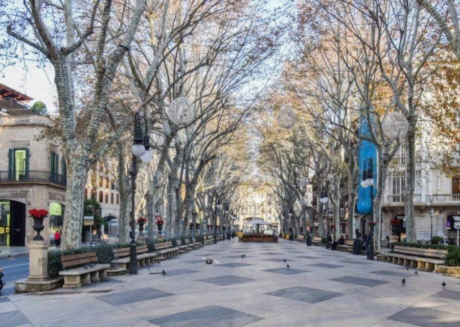 Palma de Mallorca: Old Town Guided Tour & Cathedral Visit - Price and value: is $67 fair for what you get?