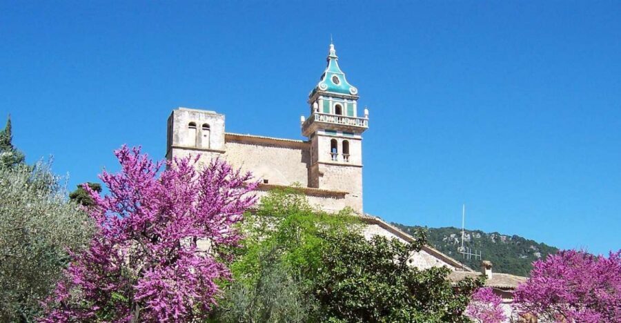Palma de Mallorca: Palma and Valldemossa free time - Key Highlights You’ll Care About