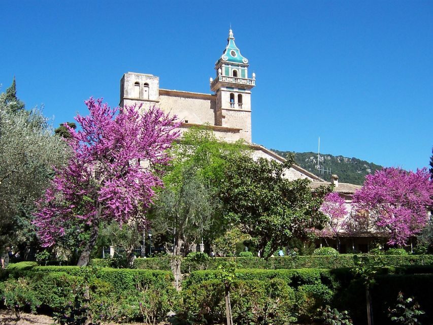 Palma de Mallorca: Palma and Valldemossa free time - Price and Value: What $56 Buys (and What Costs Extra)