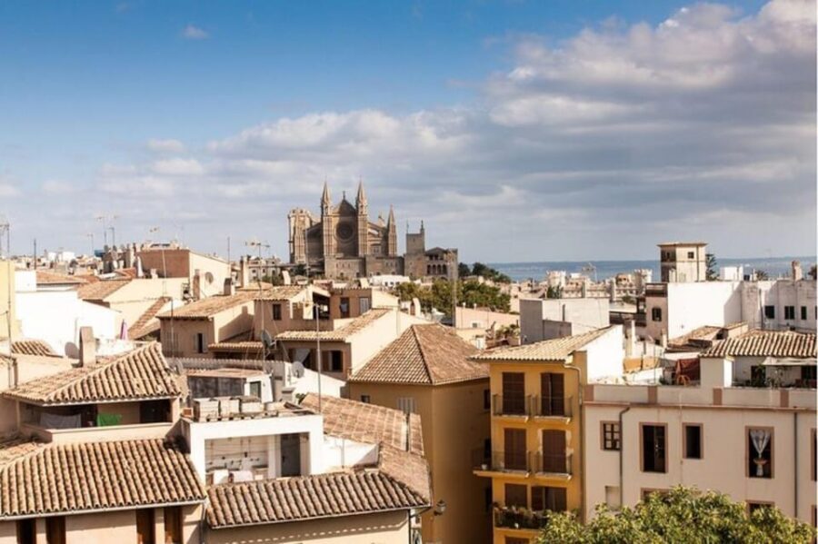Palma de Mallorca: Private custom tour with a local guide - Pickup and How the Timing Usually Works