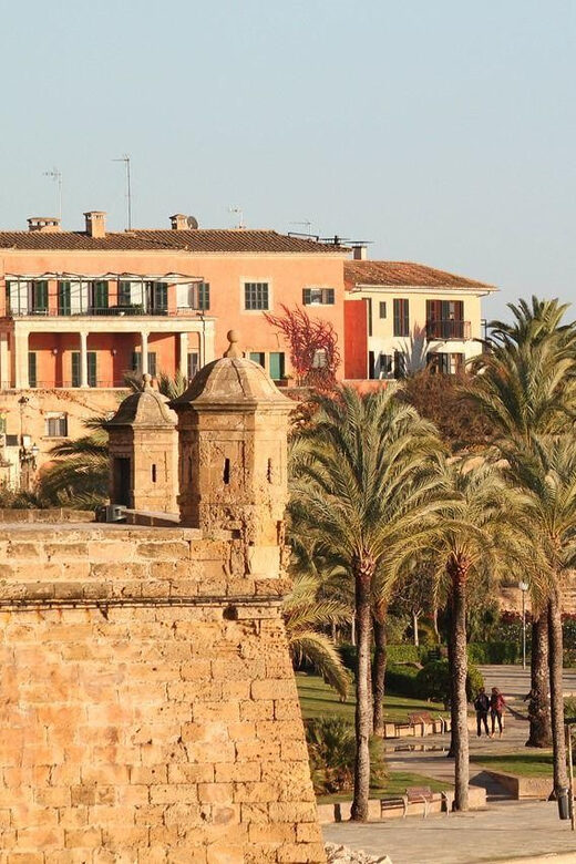 Palma de Mallorca Private Guided Walking Tour - Museum Stop: Using Objects to Make the Walking Make Sense