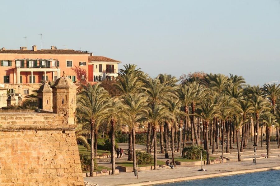 Palma de Mallorca Private Guided Walking Tour - Private Group Value: When $280 Makes Sense