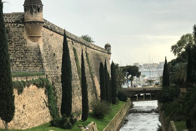 Palma de Mallorca: PRIVATE Local Food And Cathedral Experience - Timing, logistics, and what to expect on the day