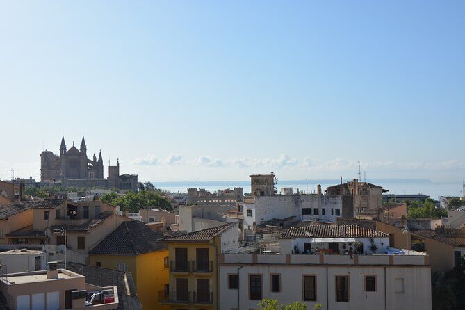 Palma de Mallorca Shore Excursion Bike Tour (Transfer Included) - Why a Palma bike tour fits a shore day so well
