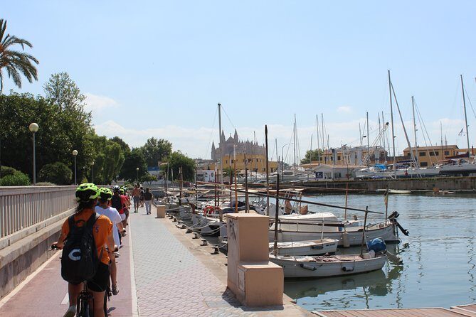 Palma de Mallorca Shore Excursion Bike Tour (Transfer Included) - What kind of traveler should book this