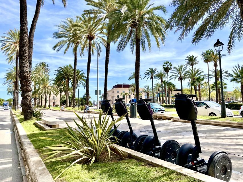 Palma de Mallorca: Sightseeing Segway Tour with Local Guide - Which guide experience you’ll probably care about