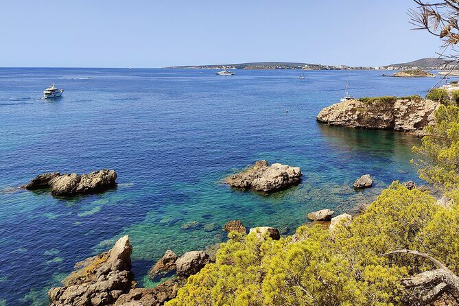 Palma de Mallorca: Small Group Tour by Locals in Hidden Coves - Quick hits before you go