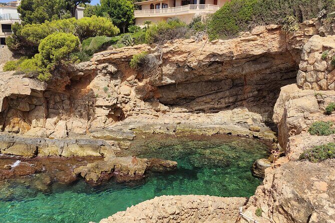 Palma de Mallorca: Small Group Tour by Locals in Hidden Coves - Stop 2: Platja de Ses Illetes, caves, fish, and sea-level freedom