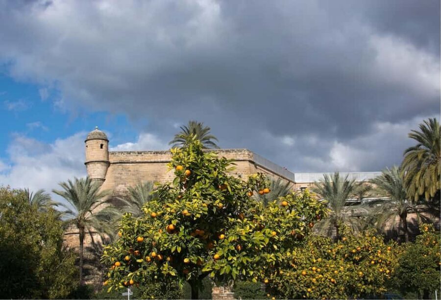 Palma de Mallorca: Small-Group Tour & Fast-Track Cathedral - Palma Cathedral (La Seu) with fast-track entry: where time savings matter