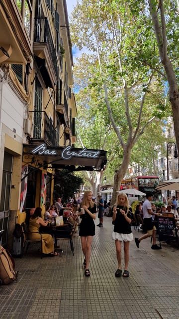 PALMA DE MALLORCA & SOLLER MIT BAHN & STADTFÜHRUNG ab Palma - Key moments you’ll remember from Palma to Port de Sóller