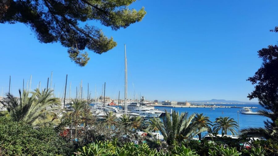 PALMA DE MALLORCA & SOLLER MIT BAHN & STADTFÜHRUNG ab Palma - The Orange Express through the Tramuntana: why this train leg is the highlight