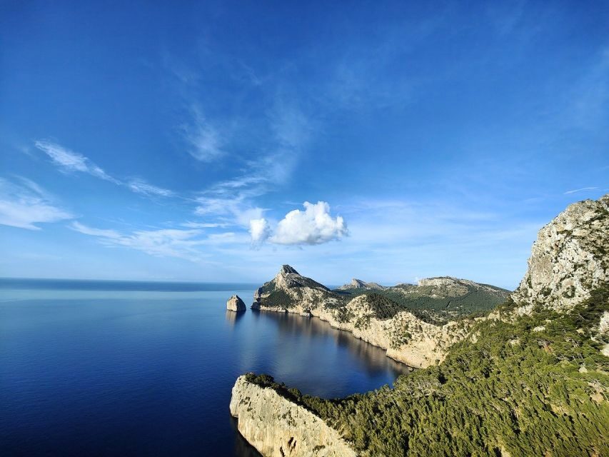 Palma de Mallorca: Son Juliana Wine Experience and Tasting - Why Son Juliana works so well for Mallorcan wine lovers