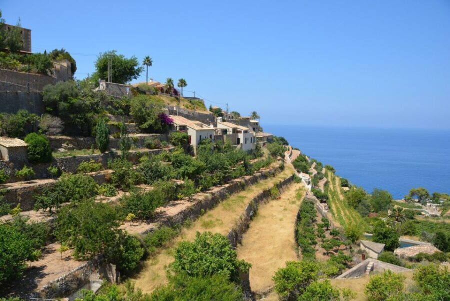 Palma de Mallorca: Son Juliana Wine Experience and Tasting - The two-hour flow: how the visit moves from vineyard to tasting