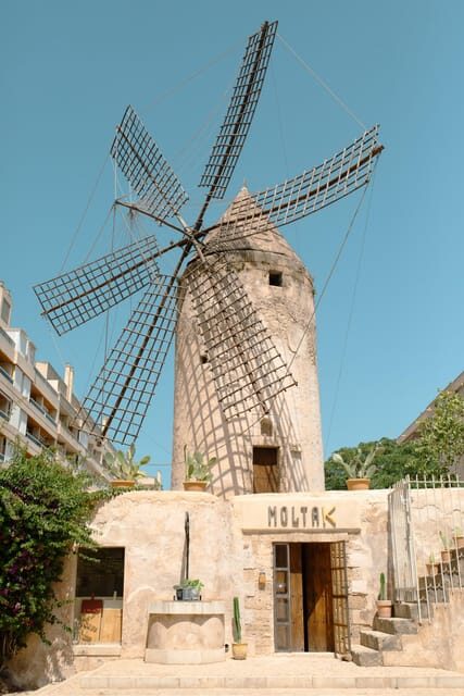 Palma de Mallorca: Spanish Cooking Experience - Key things I think you’ll care about most