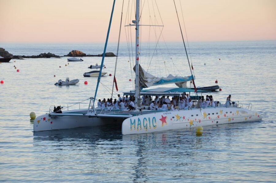 Palma de Mallorca: Sunset Sailing Catamaran Trip with Drink - A 1.5-Hour Sunset Sail That Feels Like a Holiday Reset