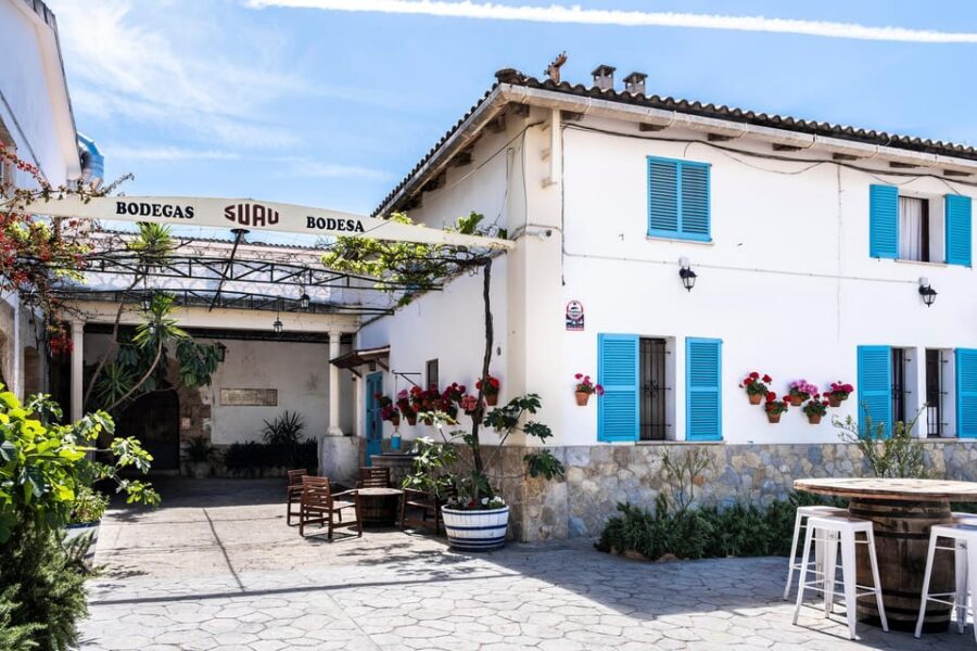 Palma: Distillery Tour with 6 Spirits and Tapas Tasting - The Cellar Tour: Mallorca’s Old Distillery Vibe in Real Life