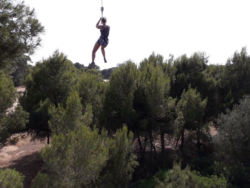 Palma: Family or Sports Course Adventure at Forestal Park - The Big Moments: 200m zip line and the Tarzan swing