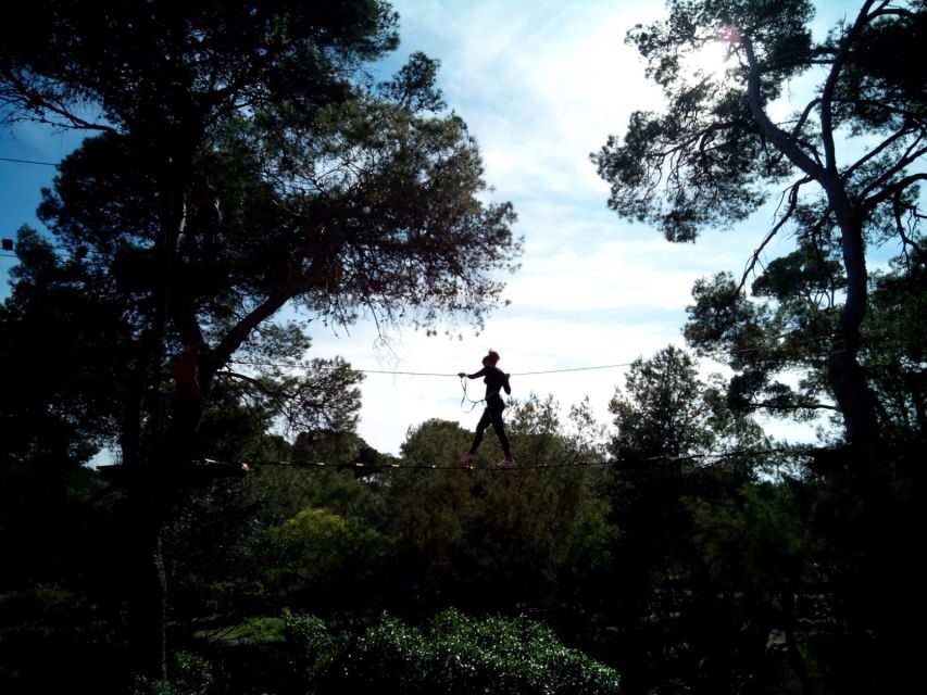 Palma: Family or Sports Course Adventure at Forestal Park - Choosing Your Course: Family vs Sport by height and confidence