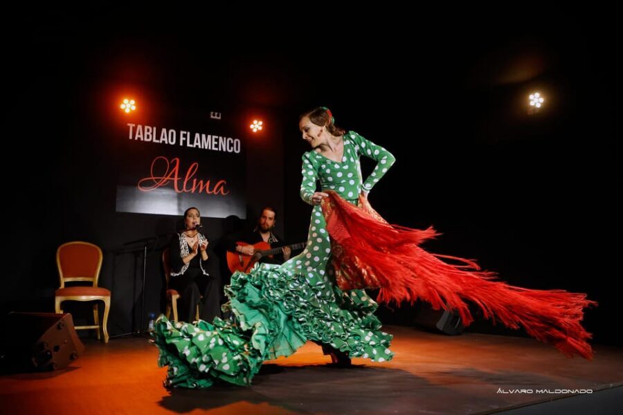 Palma: Flamenco Show at Tablao Flamenco Alma with Drink - Who should book this flamenco show in Palma?