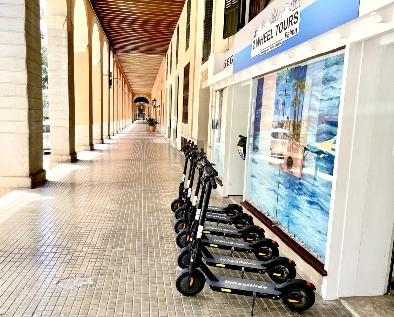 Palma: Guided 1.5 H city tour on Electric scooter - Parc de la Mar: the best bay-and-cathedral photo setup
