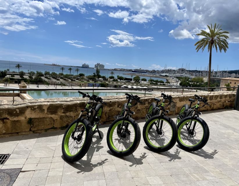 Palma: Guided City Tour with a Fat Tire E-Bike - Palma Cathedral of Light: 59 Windows and Five Rose Windows to See Up Close