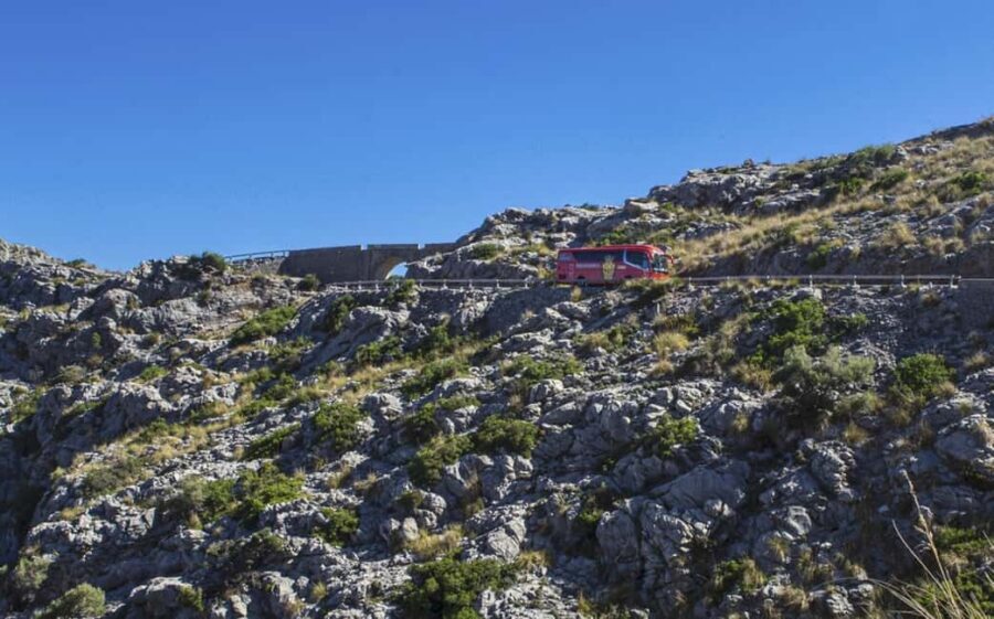 Palma: Mallorca Island Tour Via Boat, Train, and Bus - Palma to Lluc Monastery: coach time with real mountain context