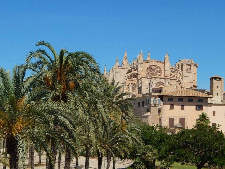 Palma old town for the first time - Should you book this Palma Old Town for the First Time tour?