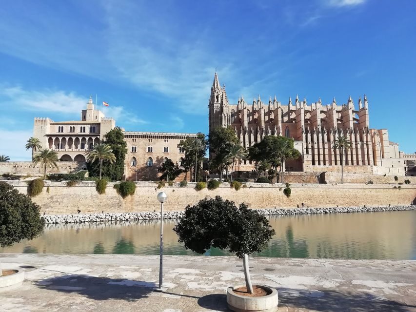 Palma old town for the first time - Parc de la Mar start: where you get your bearings fast