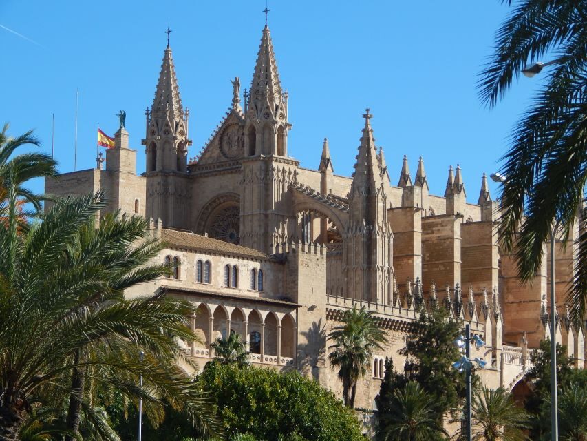 Palma: Old Town Walking Tour & Cathedral Skip-the-Line - Ending at Mercat de l’Olivar: turn the walk into lunch plans
