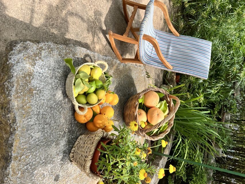 Palma: Orange Farm, Olive Mill, & Winery Tour with Tastings - Key Things I’d Put at the Top of Your Checklist