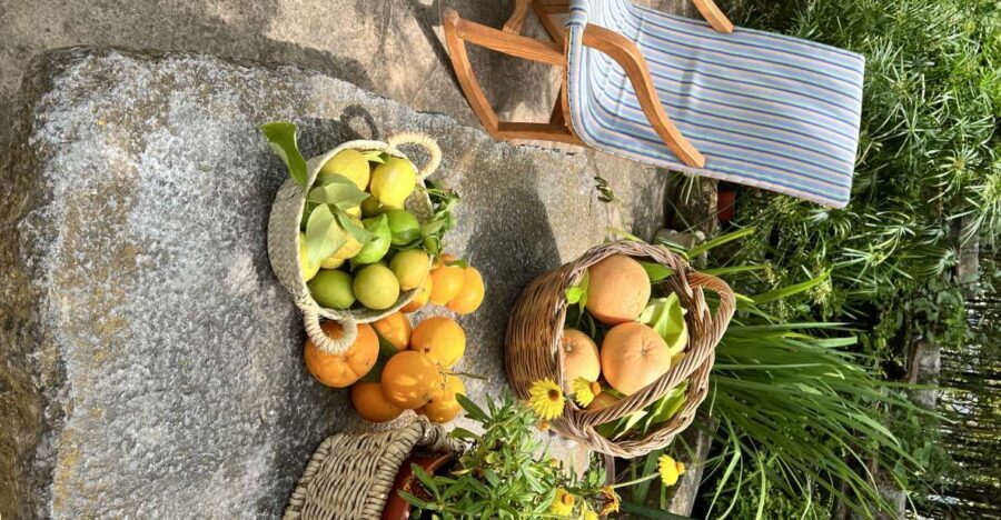 Palma: Orange Farm, Olive Mill, & Winery Tour with Tastings - Why This Palma Orange–Olive–Wine Day Trip Works