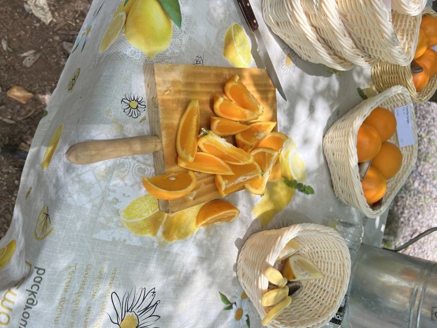 Palma: Orange Farm, Olive Mill, & Winery Tour with Tastings - Practical Tips That Make the Day Easier