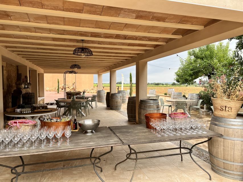 Palma: Orange Farm, Olive Mill, & Winery Tour with Tastings - Who Should Book This Tour (And Who Might Not)
