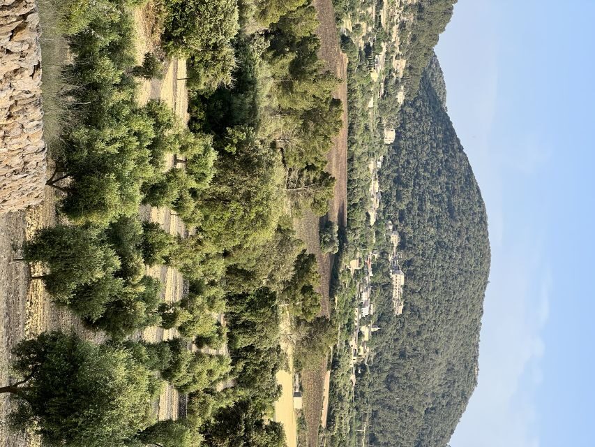 Palma: Orange Farm, Olive Mill, & Winery Tour with Tastings - The Drive From Palma to the Tramuntana Start Zone