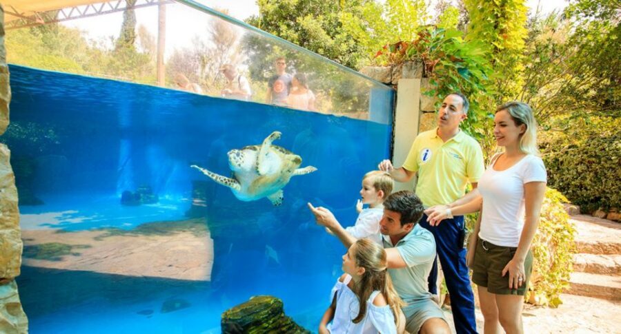 Palma: Palma Aquarium Ticket with Transfer Service - Coral Color: The Largest Living Coral Exhibition