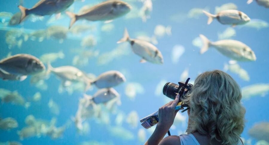 Palma: Palma Aquarium Ticket with Transfer Service - Extra On-Site Add-Ons: Optional, Paid, and Sometimes Worth It