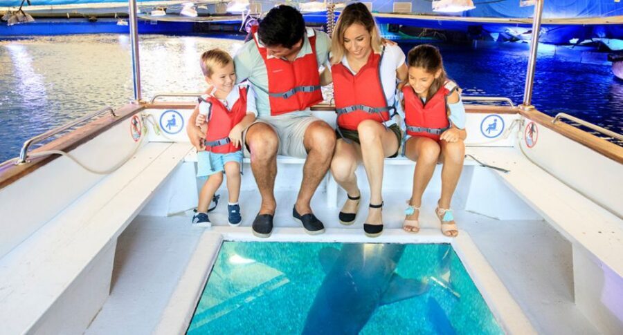 Palma: Palma Aquarium Ticket with Transfer Service - Getting There by Coach: What Your Morning Really Feels Like