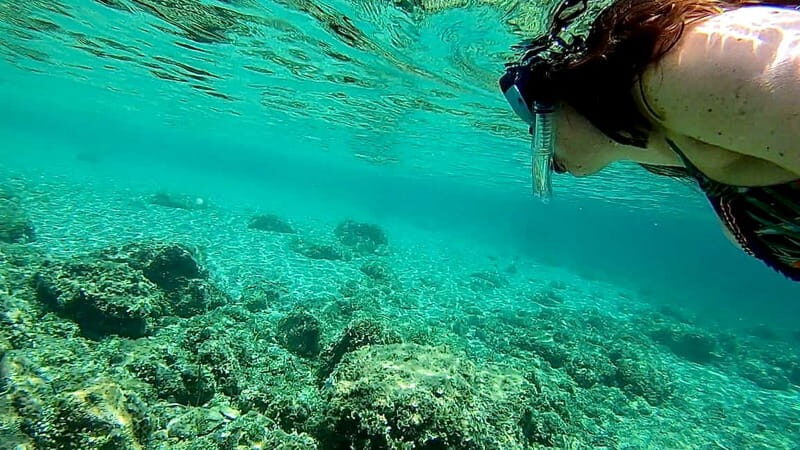 Palma: Private Boat Tour in Mallorca with Snorkel and Paddle - Weather and the Sea: The Real Constraint (and How to Stay Flexible)