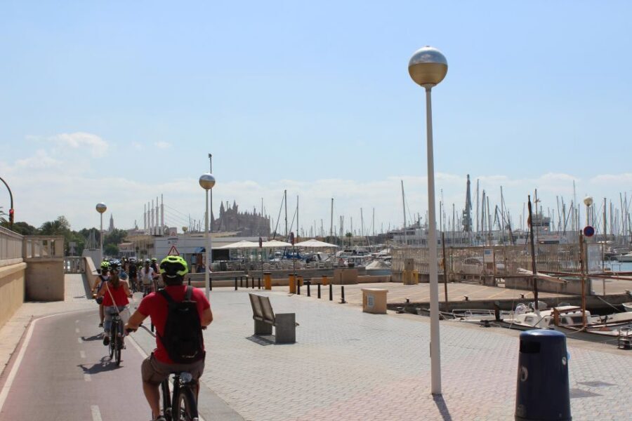 Palma Shore Excursion Bike Tour (Transfer Included) - Palma Cathedral and viewpoint time: photos without the sprint