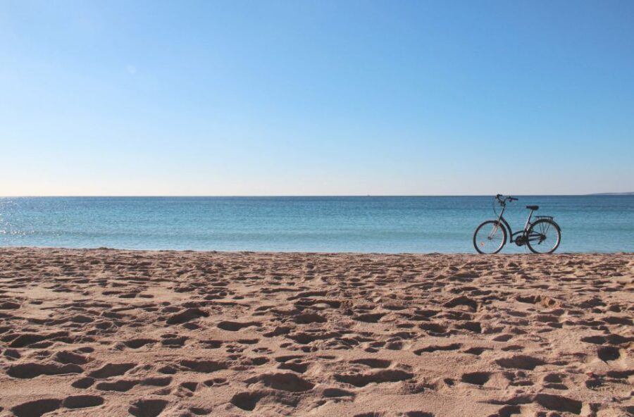 Palma Shore Excursion Bike Tour (Transfer Included) - Break time at Plaça del Rosari and getting back to your ship