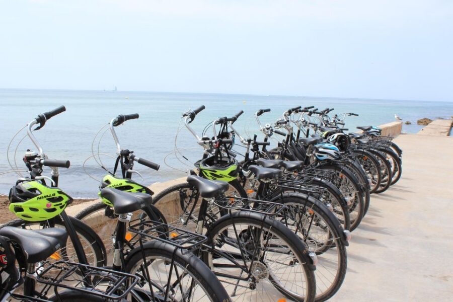 Palma Shore Excursion Bike Tour (Transfer Included) - What $109 buys: value in transfers, bike, and ship timing